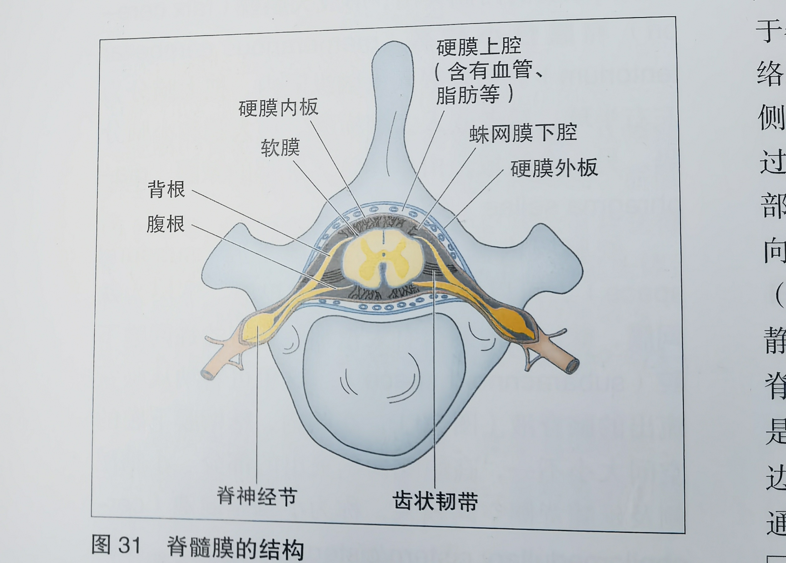 宠物医院术后护理病房实景