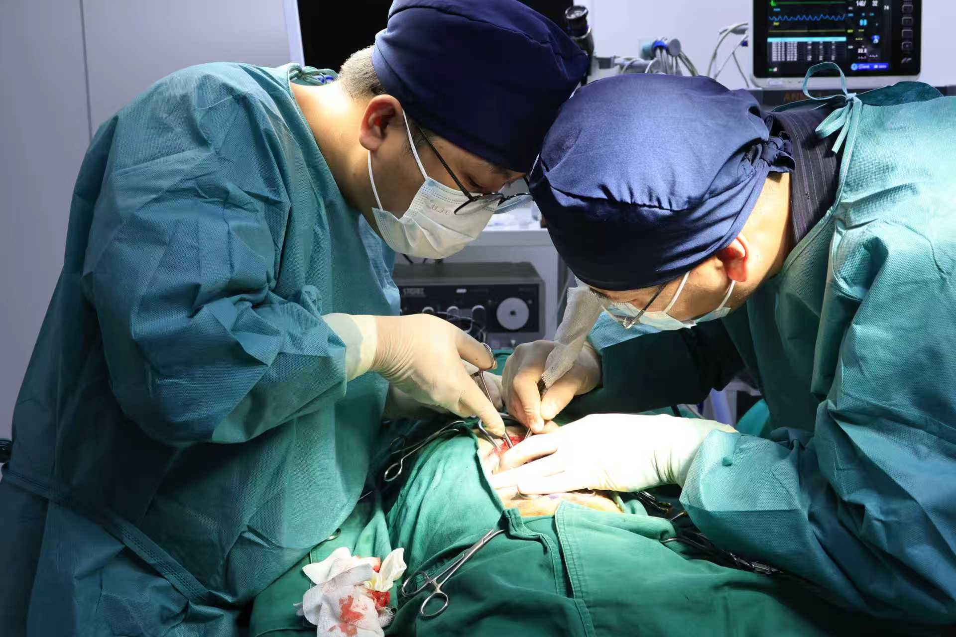 宠物复杂外科手术现场