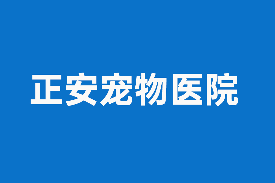 正安宠物医院案例