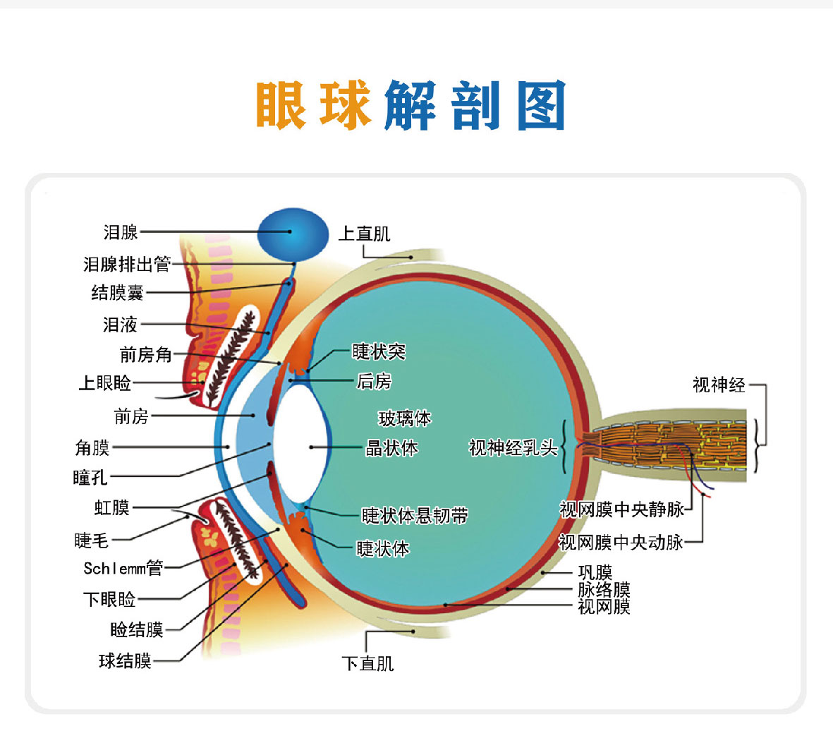 光明壹佰加盟项目介绍详情